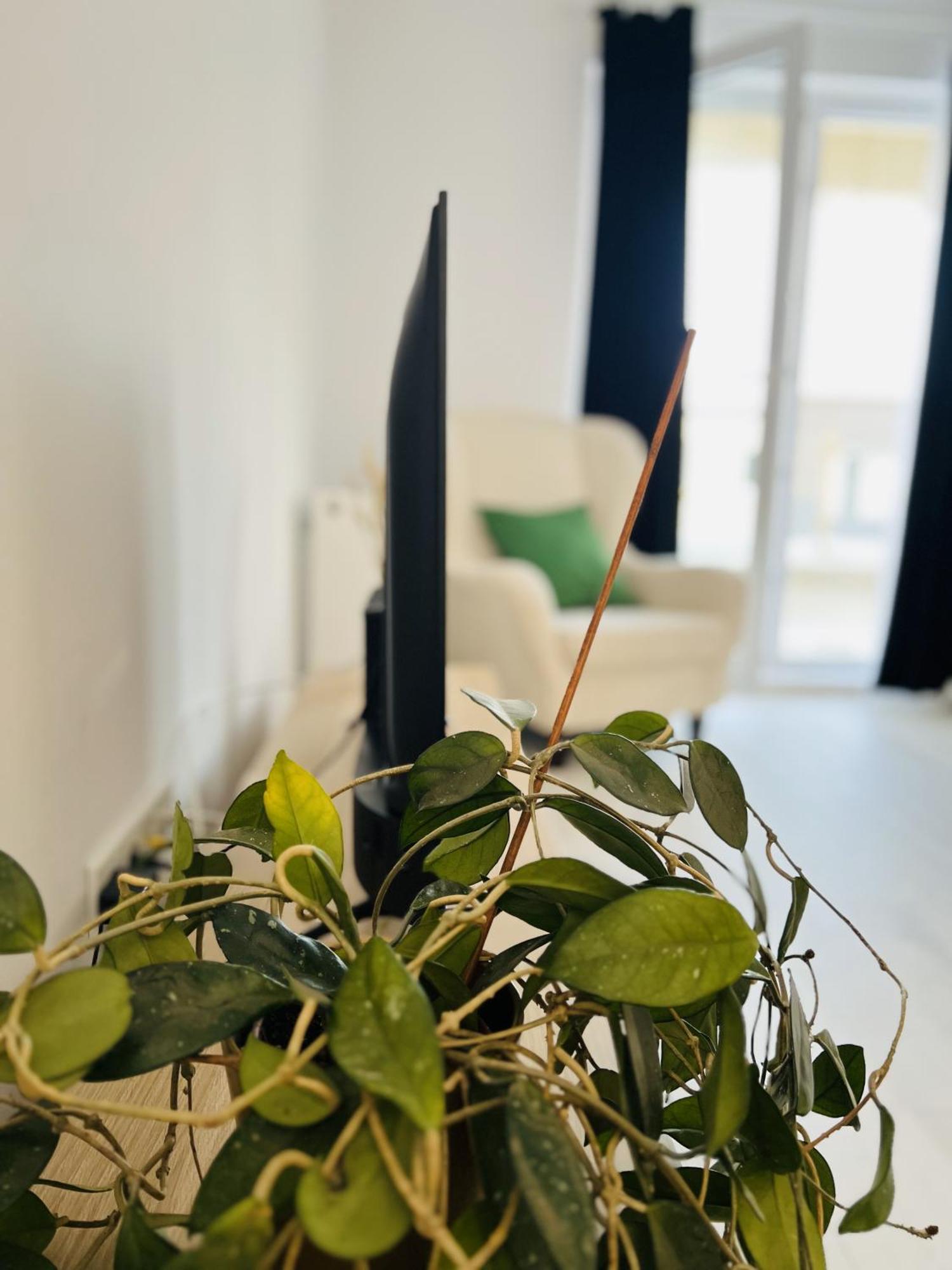 Ferienwohnung Airport Gardens Loft Otopeni Exterior foto